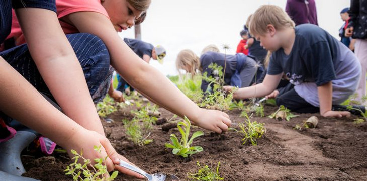 En grupp barn som planterar växter i en trädgård.